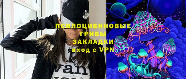 крисы Козловка