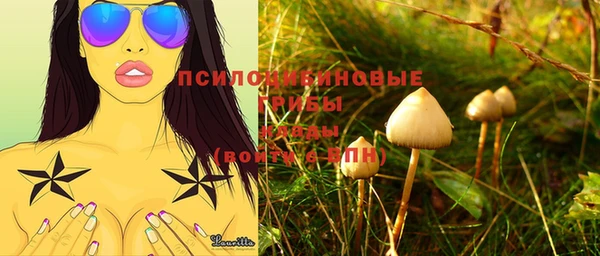 ПСИЛОЦИБИНОВЫЕ ГРИБЫ Козельск
