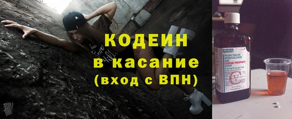 крисы Козловка