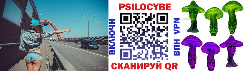 кракен ТОР  Сорск  Псилоцибиновые грибы Cubensis 
